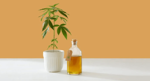 How to Tell if Cbd Is Working Reddit