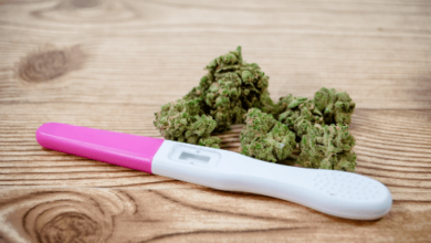Does Cbd Affect Fertility