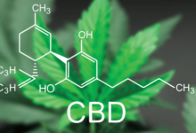 Can You Take Cbd Gummies With Prednisone