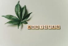 cbd addiction unlikely possible