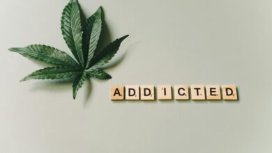 cbd addiction unlikely possible