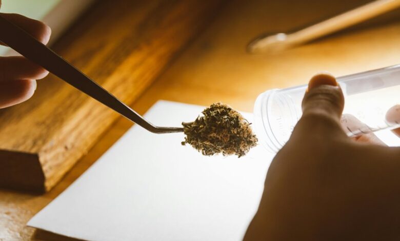 cbd and drug testing