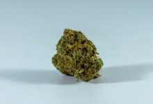 cbd benefits for colds