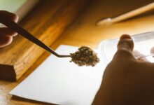 cbd drug test failure