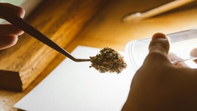 cbd drug test results