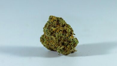 cbd for cold relief