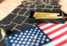 cbd legality varies state wise