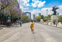 cbd regulations in mexico