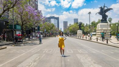 cbd regulations in mexico