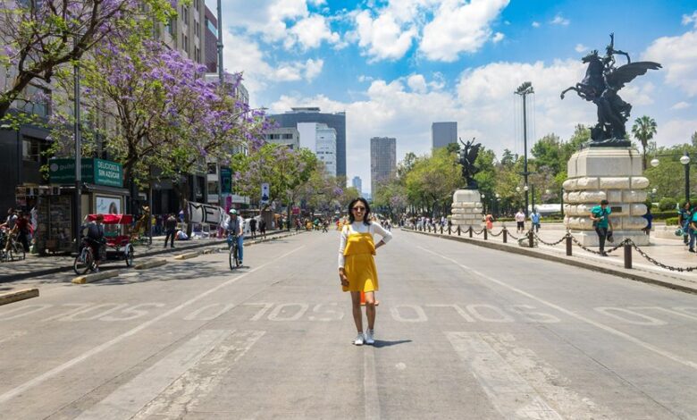 cbd regulations in mexico
