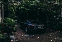 cbd sales licensing requirements
