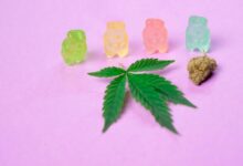 cbd thc gummies addiction potential