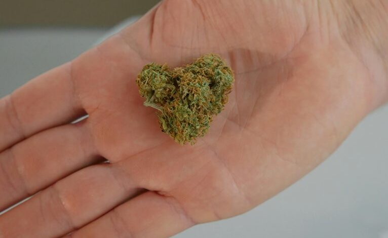 cbd tolerance development possible