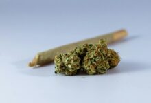 cbn and cbd comparison