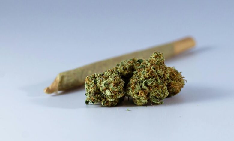 cbn and cbd comparison