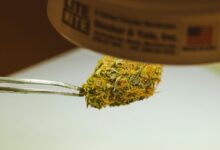 delta 9 cbd information