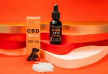 dog and cat cbd safety