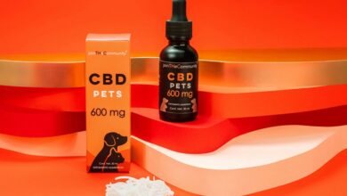 dog and cat cbd safety