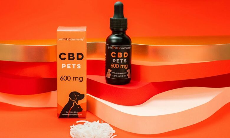 dog and cat cbd safety