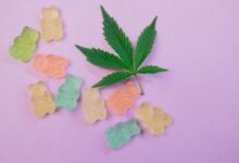 duration of gummy cbd