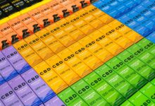 giving cbd to dogs