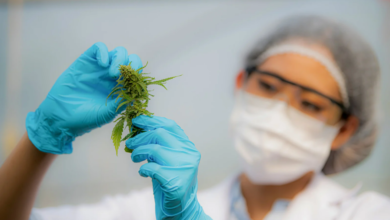 How Medical Cannabis Supports Patients with Complex Health Conditions