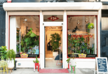 Reliable Cannabis Delivery in Bronxville