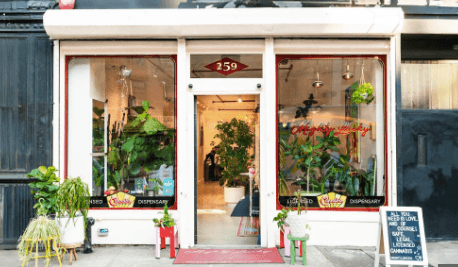 Reliable Cannabis Delivery in Bronxville