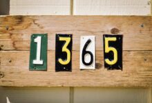 server ip address inquiry details